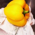 masakohママ's cooksnap of when they made 冷凍パプリカ＊保存方法＊見切り品の復活.