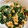 ももゆみ1230's cooksnap of when they made 簡単！副菜♪納豆とわかめの梅和え.