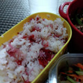 ひっこ's cooksnap of when they made 簡単！夏バテ対策！梅と茗荷の混ぜご飯♡.