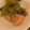 dollyj's cooksnap of when they made 銀鮭のおろし揚げびたし.