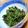 あおやがら's cooksnap of when they made とってもシンプルなモロヘイヤのおひたし.
