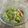 クックSJEKPW☆'s cooksnap of when they made あと1品！キャベツの旨サラダ.