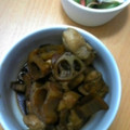 450μmの天体観測's cooksnap of when they made ●れんこんと鶏肉の煮物●.