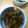 450μmの天体観測's cooksnap of when they made ●れんこんと鶏肉の煮物●.