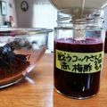 ひっこ's cooksnap of when they made 梅干を漬けないでも赤梅酢の作り方.