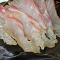 ほおばみそ's cooksnap of when they made 鮨屋の昆布〆 (平目・鯛・帆立など).