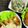 Mau☆cafe's cooksnap of when they made ハマる！オクラの胡麻和え♡.