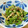 __おもち's cooksnap of when they made ピーマンとしめじのオイマヨ炒め！.