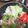 2児ママみきてぃ's cooksnap of when they made 定食屋の味☆牛肉ピーマン.
