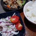 ひっこ's cooksnap of when they made ゴーヤと玉ねぎのツナサラダ.