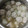 クックOQ9L1B☆'s cooksnap of when they made ふわふわ肉団子と冬瓜のさっと煮.