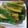 どんころ's cooksnap of when they made きゅうりの即席お漬物。.