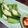 クックG1CG0C☆'s cooksnap of when they made オクラマヨ.