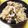 胡桃大好き❤️'s cooksnap of when they made 簡単☆炊飯器でイカ飯風.