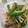 クック6DDPP8☆'s cooksnap of when they made ピーマンときのこのバター醤油炒め.