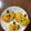 ばんちゃんっ's cooksnap of when they made ハロウィンにも☆簡単かぼちゃちぎりパン。.