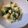 NEKOほっぺ's cooksnap of when they made 朝食に！バナナとパセリのプチサラダ.