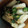 クックMKR96V☆'s cooksnap of when they made レンジで簡単！エノキとオクラの梅干し和え.