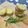 ぱっくんバスケット's cooksnap of when they made ローズマリークッキー.