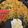 1035's cooksnap of when they made 家族みんなでホットプレートで焼そば！.