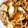 67luna's cooksnap of when they made とんかつソースで焼きそば！？.