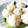 ヒヨコとウサギ's cooksnap of when they made 簡単♪『海老と枝豆の蒸し餃子』.