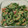 yokoyoko76's cooksnap of when they made 超簡単！苦くない！ゴーヤとツナのサラダ！.
