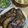 ＊実月＊'s cooksnap of when they made 簡単絶品！プロが作るなすの蒲焼き丼.