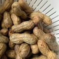 のほさん。's cooksnap of when they made 【圧力鍋8分】生落花生の塩茹で.