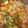 クックHDLZ93☆'s cooksnap of when they made 肉じゃが.