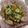 chihirola's cooksnap of when they made 梨とスモークサーモンのハーブマリネサラダ.