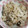 まゆみきママ's cooksnap of when they made 行楽に☆ひじきと梅干しの炊き込みご飯.