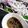 たにたーに's cooksnap of when they made さっぱりタレで食べる◎かつおのたたき.