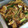 クックY17585☆'s cooksnap of when they made アジの南蛮漬け.