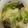 クック49L4Ho☆'s cooksnap of when they made なすとピーマンの煮物.