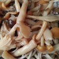 どむぞうくん's cooksnap of when they made 夏のご飯に！キノコのおろし冷やしそば.