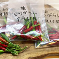 horseland's cooksnap of when they made 生唐辛子の保存法.