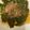 ＊★とも＊☆'s cooksnap of when they made 唐津市♡不思議！おかワカメのおひたし.