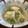 クック5NOFPV☆'s cooksnap of when they made オクラと長いものトロトロさっぱり和え.