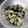 えりきゃんでぃ's cooksnap of when they made 簡単！もやしとわかめのサラダ♪.