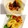 柚子♡⸝⸝⸝'s cooksnap of when they made 野菜or果物の花をちょこんと.