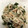 クックZN8DZO☆'s cooksnap of when they made ちくわともやしのマヨサラダ.