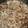 クックちー☆'s cooksnap of when they made 豚肉と玉ねぎのスタミナ炒め.
