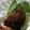 Ruriluru's cooksnap of when they made アラジントースターで揚げ物のあたため方.