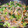 クックEJ5CQ0☆'s cooksnap of when they made 牛肉と青梗菜のオイスターソース炒め♪.