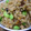 まあくんのおくさん's cooksnap of when they made じゃことひじきの炊き込みご飯.