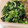 ゆけり３兄弟's cooksnap of when they made ほうれん草とじゃこのめんつゆバター炒め.