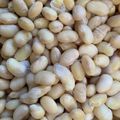 めっち！'s cooksnap of when they made 圧力鍋でほくほく蒸し大豆.