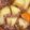 女の子mam's cooksnap of when they made 【★】じゃがいもと合いびき肉のトロミ煮.