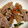 Kユリコ's cooksnap of when they made 食がすすむ！豚コマと野菜のスタミナ炒め.